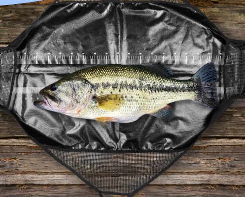 Photographed Fishing Unhooking - Fishing Bag Waterproof ulasan dan harga
